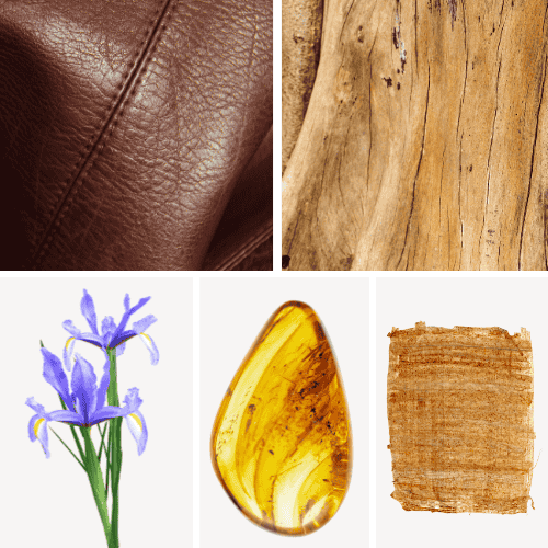 Preview: Duftnoten: Leder, Sandelholz, Schwertlilie, Bernstein, Papyrus